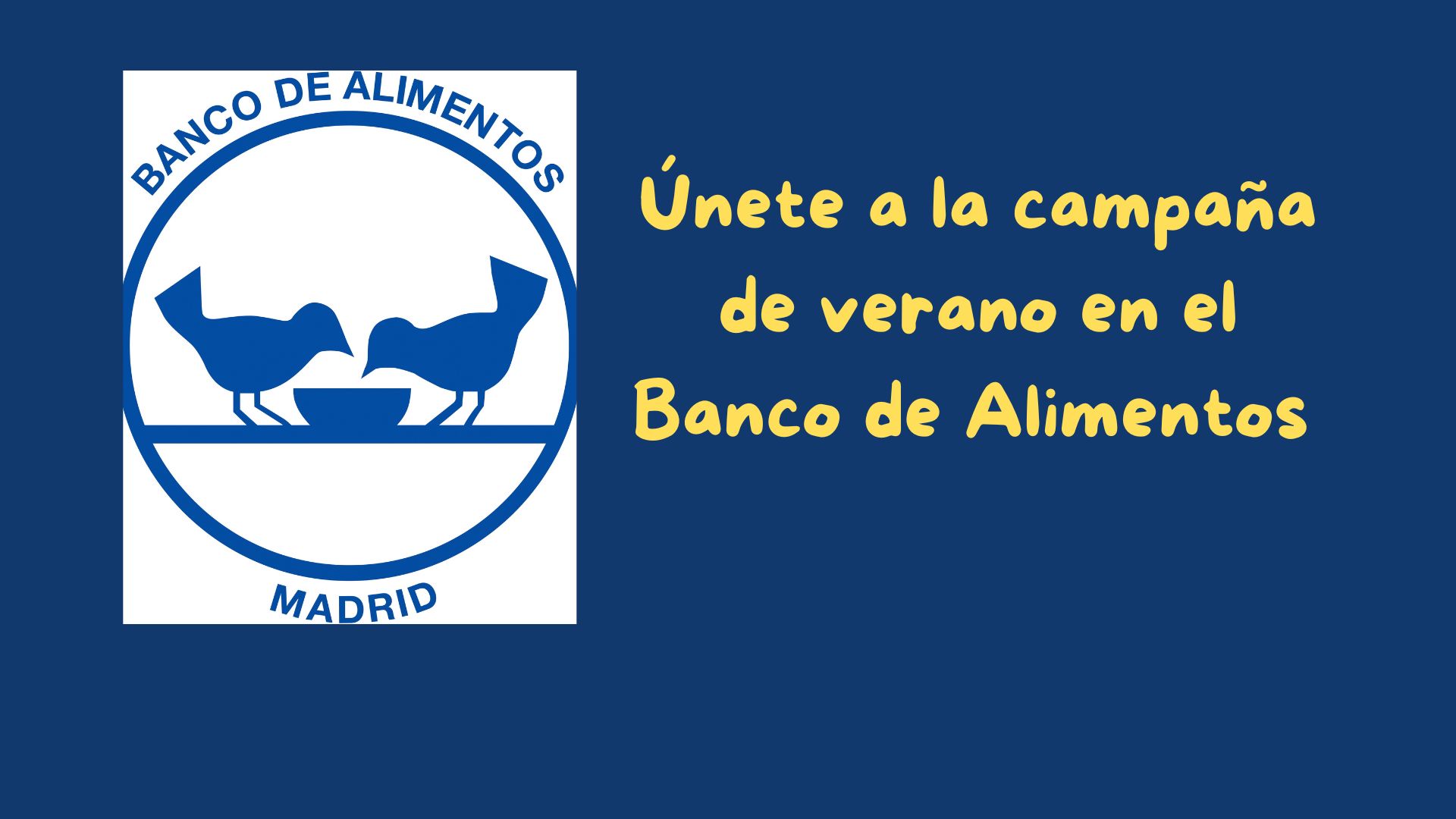 Únete a la campaña de verano en el Banco de Alimentos
